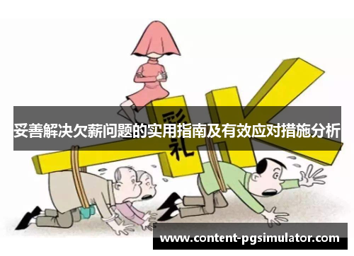妥善解决欠薪问题的实用指南及有效应对措施分析