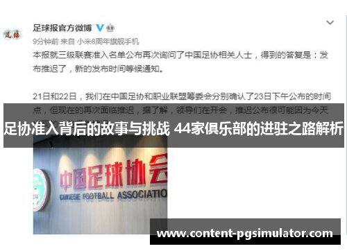 足协准入背后的故事与挑战 44家俱乐部的进驻之路解析
