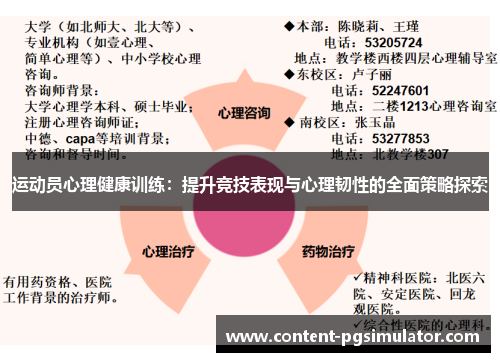 运动员心理健康训练：提升竞技表现与心理韧性的全面策略探索