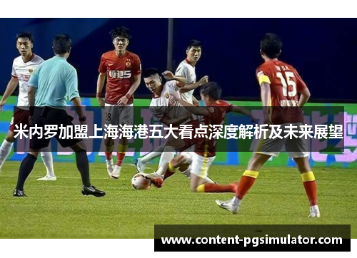 米内罗加盟上海海港五大看点深度解析及未来展望