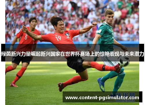 绿茵新兴力量崛起新兴国家在世界杯赛场上的惊艳表现与未来潜力